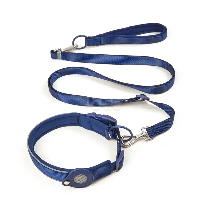 Nylon Dog Leashes & Collars
